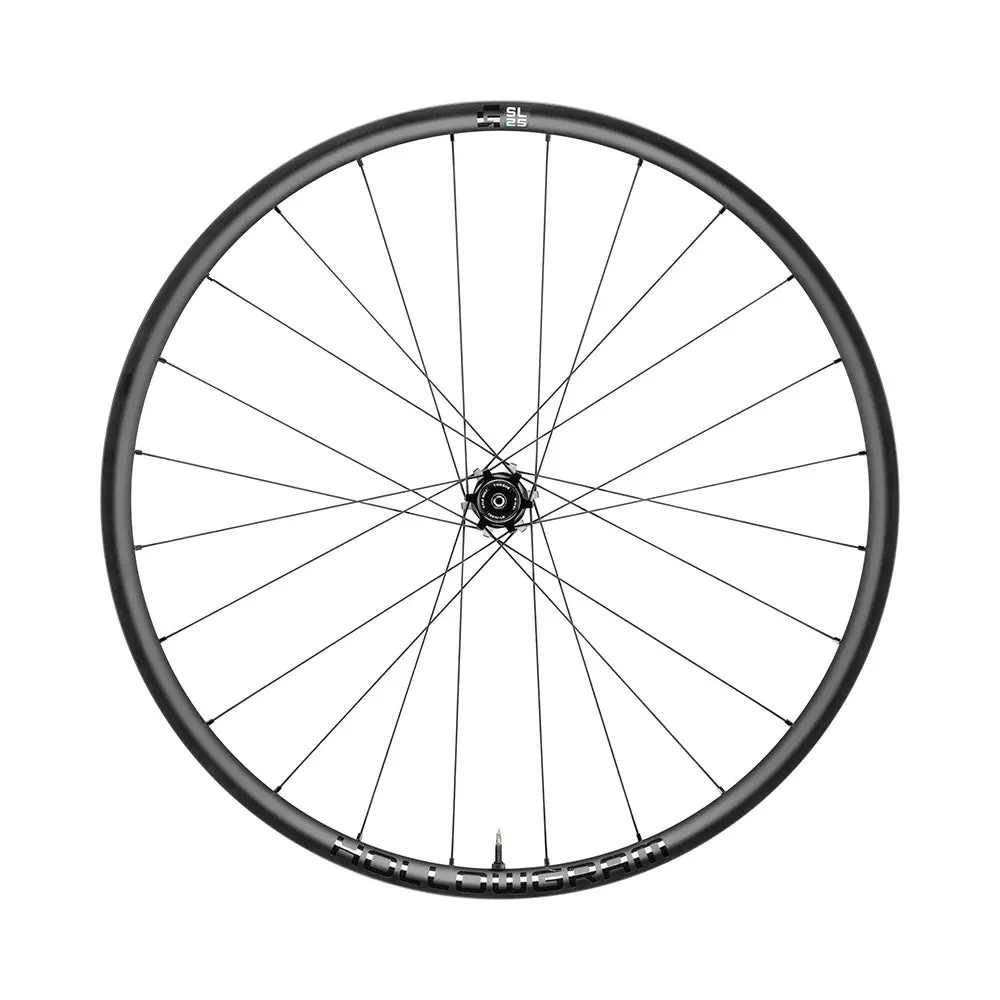 Hollowgram G-Sl 25 650B Wheels 3