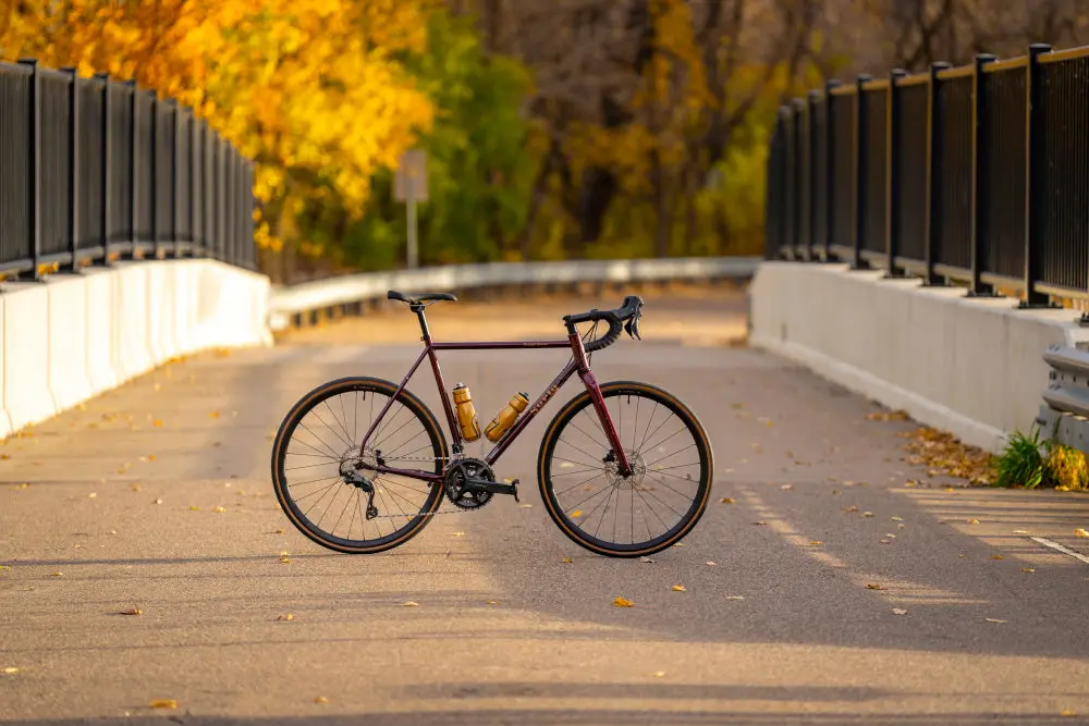 Surly Midnight Special 3