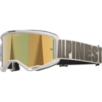 Vision 5 Goggle - Hollow - Wind - Gold Mirror 1