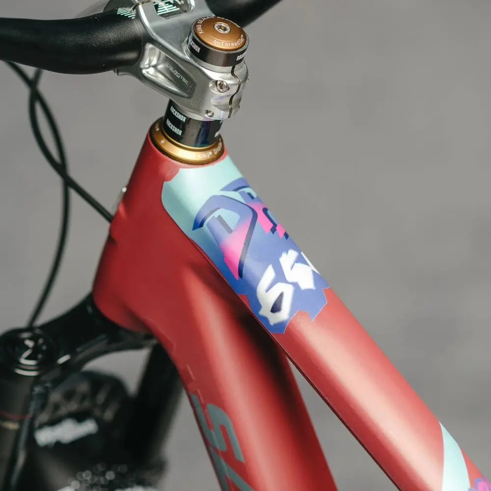 Dyedbro - Frame Protection - Db650 1