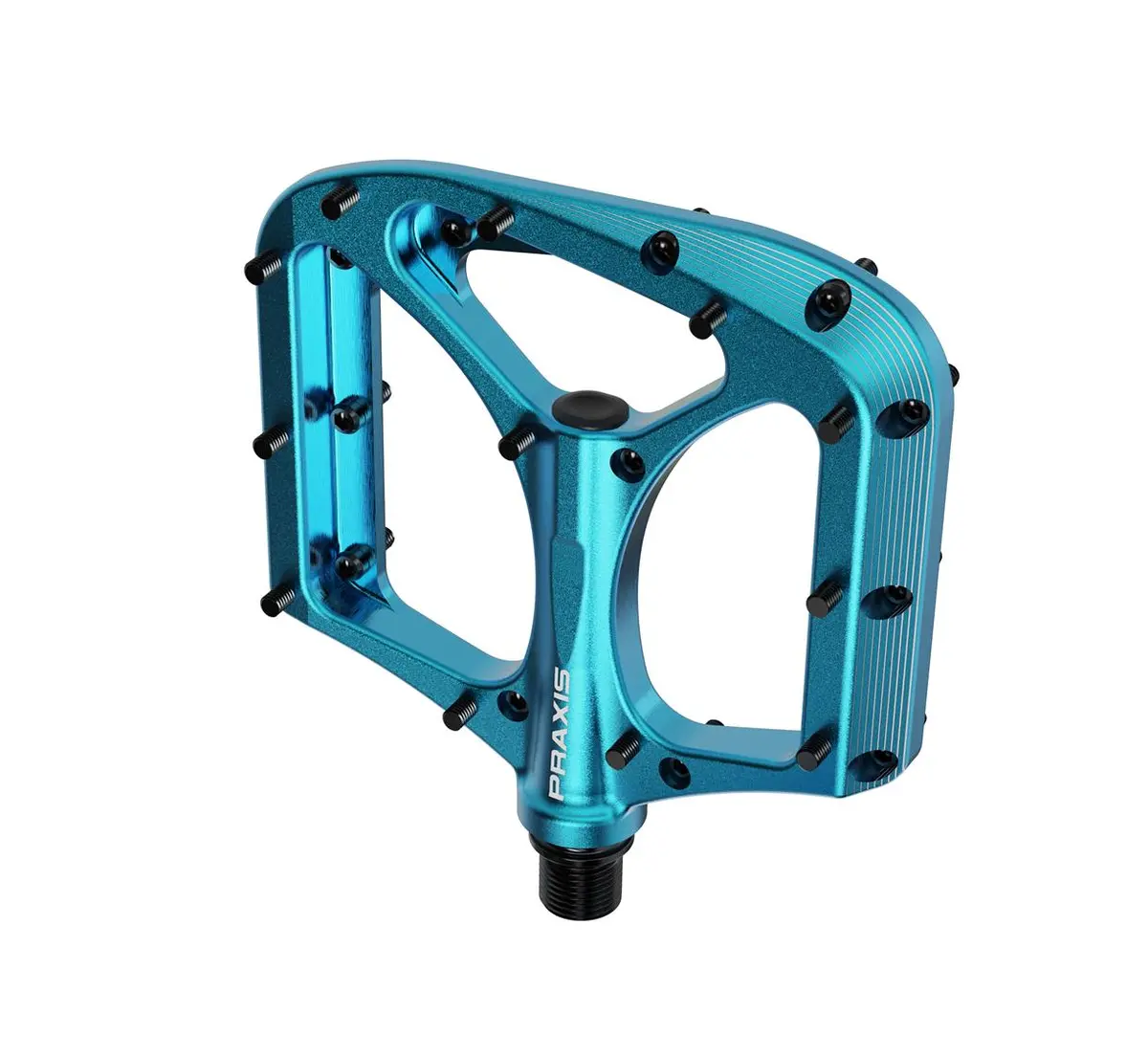 Praxis - Brodium Pedal 1
