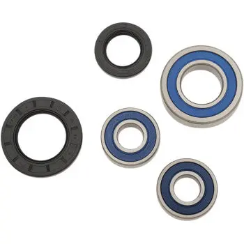 Wheel Bearing Kit - Rear - Suzuki V-Strom 1