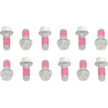 2009-Ktmrtrrotor Bolt Kit 1