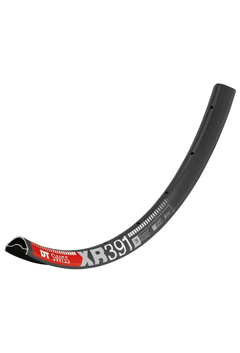 Dt Swiss - Xr 391 29" Rims 1