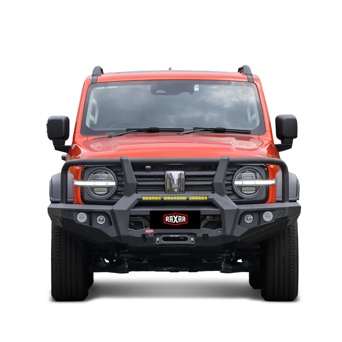 Raxar Loop Bull Bar To Suit Gwm Tank 300 1