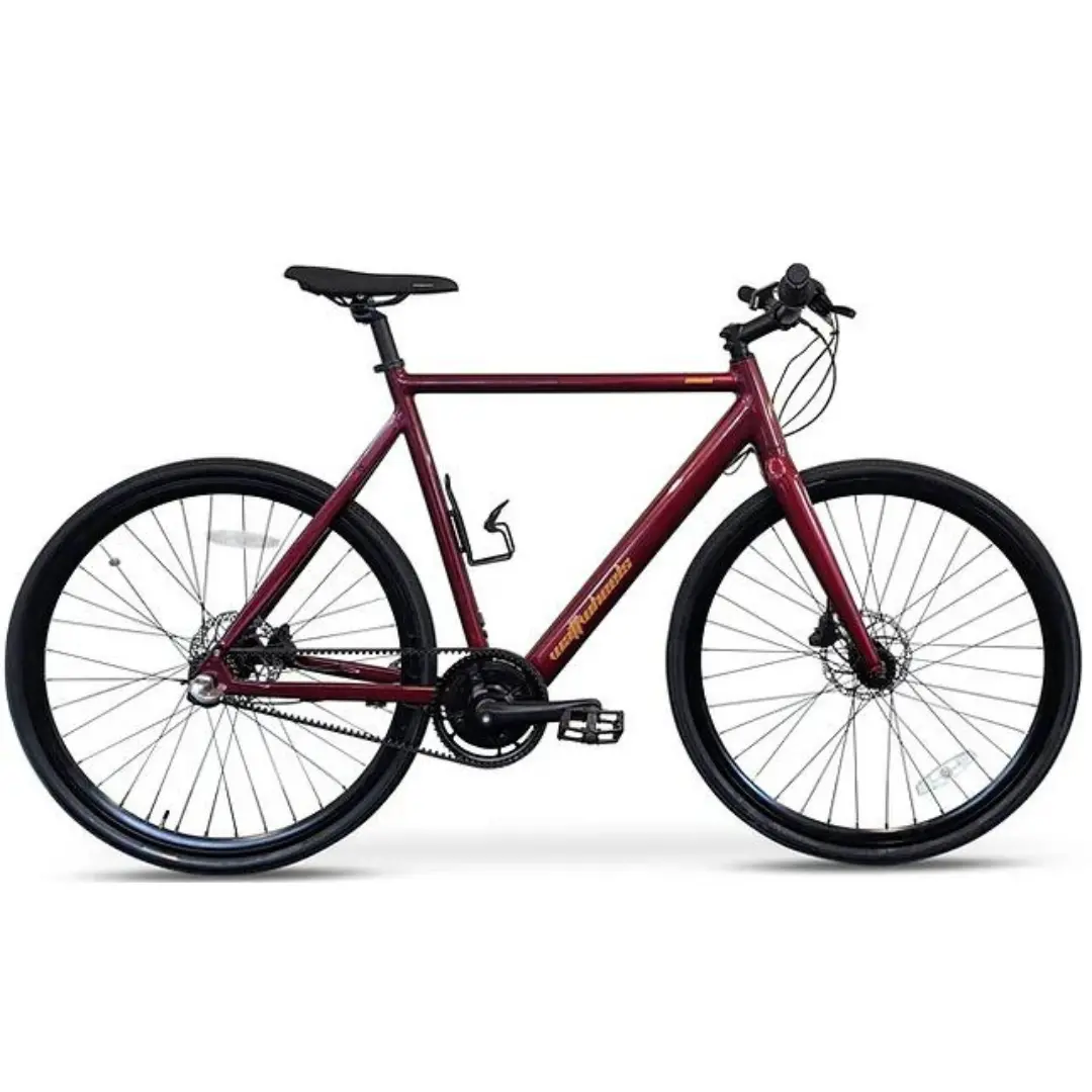 Wattwheels Omnia E Bike 1