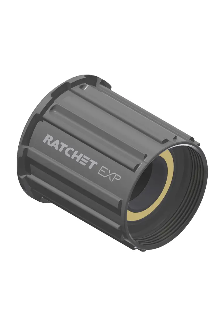 Dt Swiss - Freehubs - Ratchet Exp 1