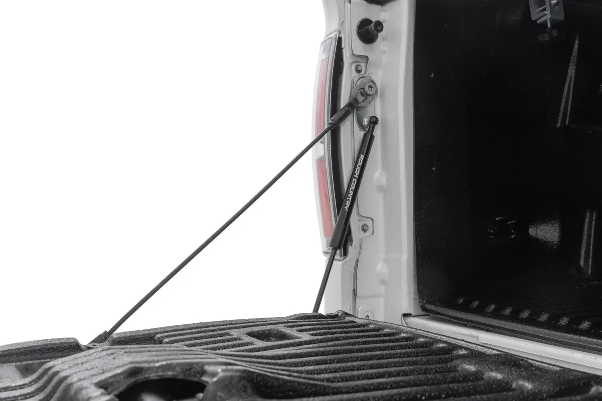 Tailgate Assist | Ford F-150 2Wd/4Wd (2004-2014) 1