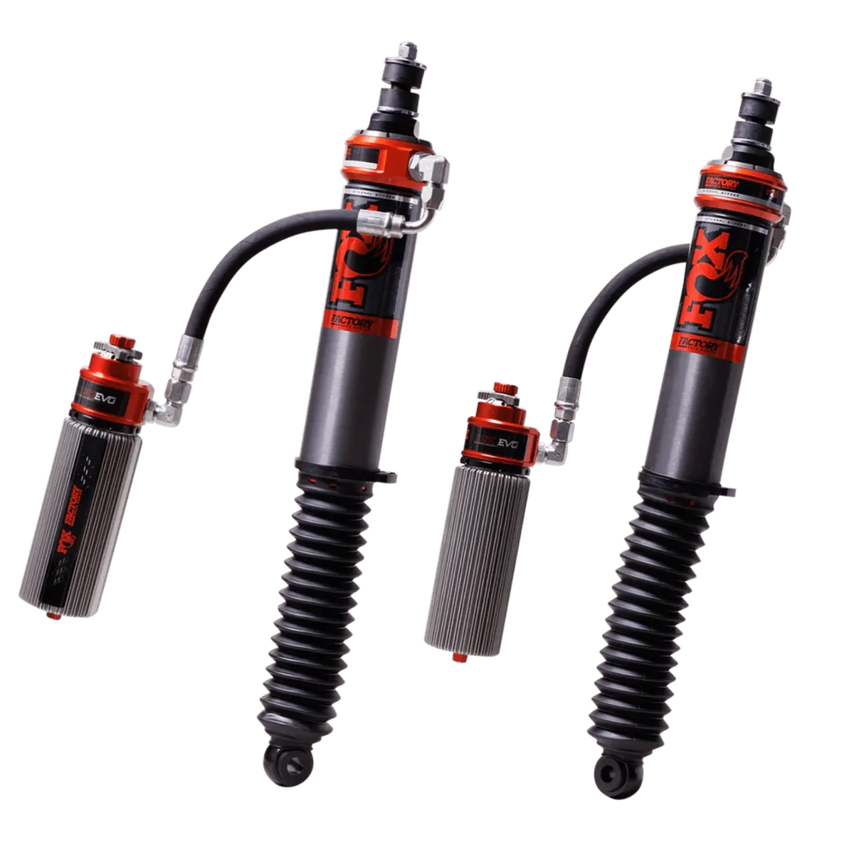 Fox Toyota & Lexus | 3.2 Factory Race Series Rear Suspension 1