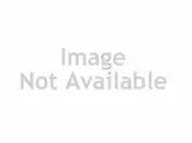 Sd Rear Sway Bar Link Kit 1