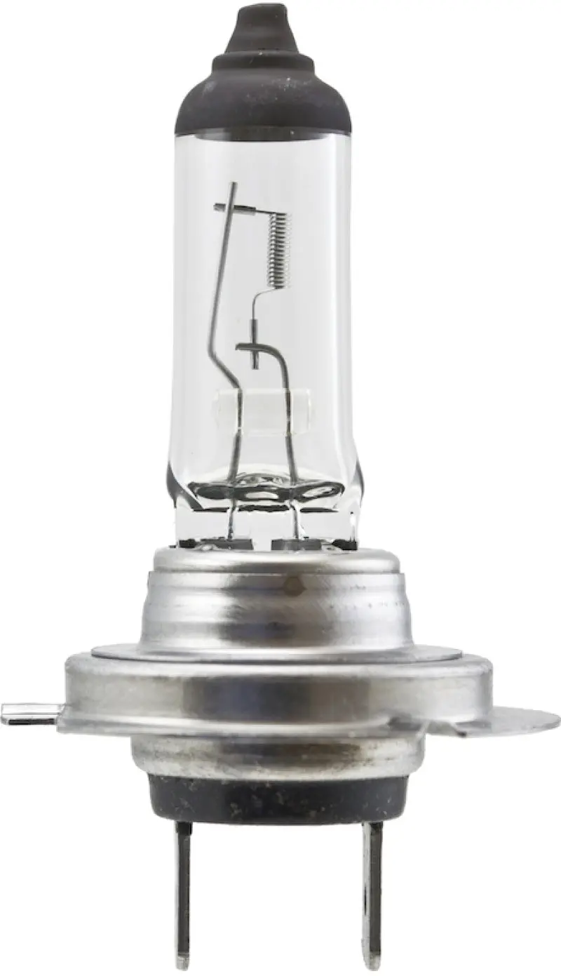 Hella H7 High-Wattage Halogen Bulb – 12V, 100W, Px26D Base 1