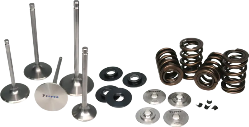 Ferrea Dual Spring Valve Spring Kit – Endurance Series For Honda/Acura B16 And B18 Engines 1